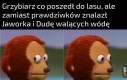 Niezręcznie