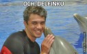 Och, delfinku