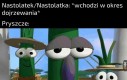 Rel