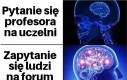 Najmądrzejsi
