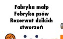 Budzę się i Gdzie już jestem wiem