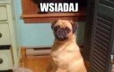 W drogę!