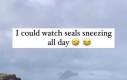 Na zdrowie!