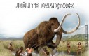 Jeśli to pamiętasz