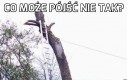 Co może pójść nie tak?