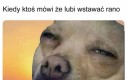 Więcej ci ręki nie podam
