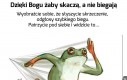 Natura wiedziała co robi