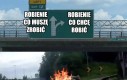 To trzeba mieć talent