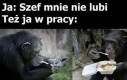 Gnojek uwziął się na mnie!
