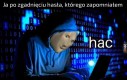 Haker jak się patrzy
