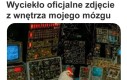 Tylko nikomu nie pokazuj