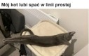 Skoro lubi...