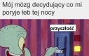 Do wyboru do koloru