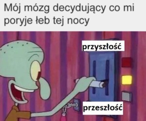 Do wyboru do koloru