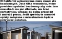 Populacja: Zero