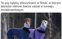 Hans i Klaus