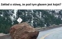 Kumaci śpiewają 