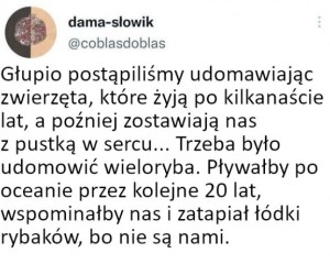 Ja na przykład tęsknię za kiciusiem