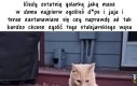 Może jak się zabarykaduje w pokoju na następne dwa tygodnie to będzie ten wąs dobrze wyglądał