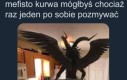 No co za leń no