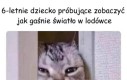 Ciekawskie dydo