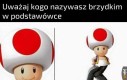 Rozkwitł jak kwiatek (albo grzybek)