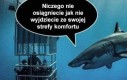 Strefa komfortu