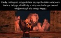 Nie zaszkodzi spróbować