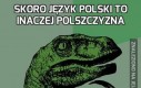 Skoro język polski to inaczej polszczyzna