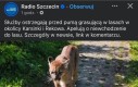 Słyszeliście o wybryku pumy?