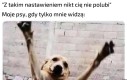 Czyżby?