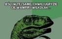 Jeśli w tej samej chwili ugryzie Cię wampir i wilkołak...