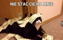 Nie stać Cię na mnie