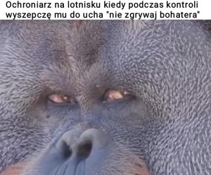Mój prawnik polecił mi bym podkreślił że to żart