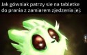 Daily kot z śluzu