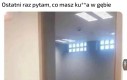 Co ty tam znowu żresz?! Oddawaj to! Zostaw!
