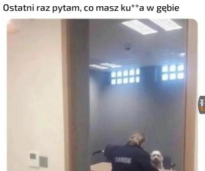 Co ty tam znowu żresz?! Oddawaj to! Zostaw!