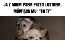 To ty piesku