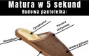 Proste