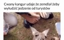 Spryciula