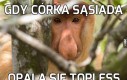 Jest na co popatrzeć