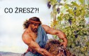 Posiadanie psa takie jest