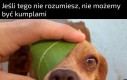 Podobno jest zaklinaczem dinozaurów
