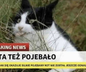 Nadchodzą mroczne czasy przyjacielu