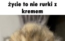 To nie różowy miś