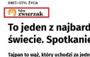 No to fajny zwierzaczek