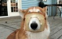 Jestę Chlebę