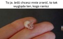 I co, dumny jesteś z siebie?