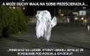 A może duchy mają na sobie prześcieradła...