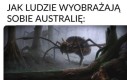 Po co jest blokada pisania komentarzy, dla nowych użytkowników?